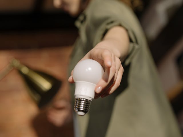 person holding a light bulb